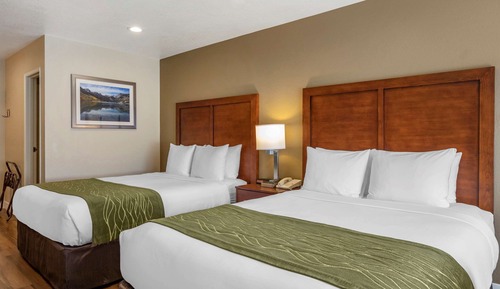 Suite, Multiple Beds, Accessible, Non Smoking