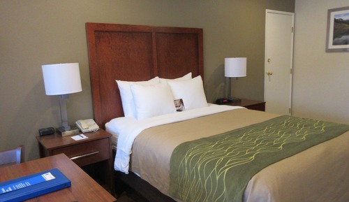 Room, 1 Queen Bed, Accessible, Non Smoking (Efficiency)