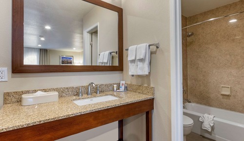 Suite, 1 King Bed with Sofa bed, Non Smoking
