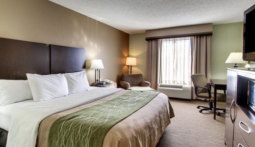 Standard Room, 1 King Bed, Non Smoking