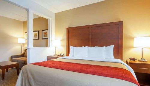 Suite, 1 King Bed with Sofa bed, Non Smoking