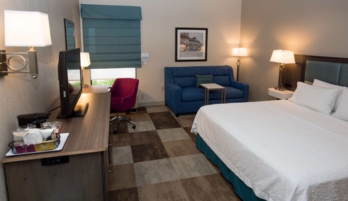 Room, 1 King Bed with Sofa bed, Accessible (Mobility & Hearing, Roll-in Shower)
