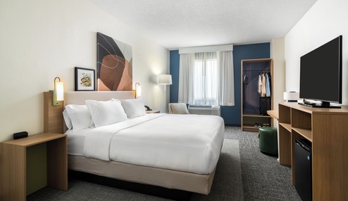 Room, 1 King Bed with Sofa bed