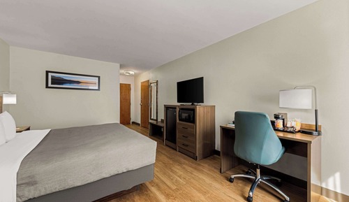 Standard Room, 1 King Bed, Non Smoking