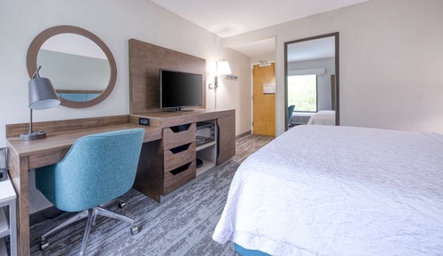 Room, 1 King Bed, Non Smoking, Refrigerator