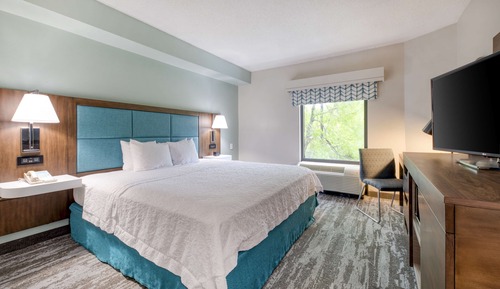 Room, 1 King Bed, Accessible, Bathtub