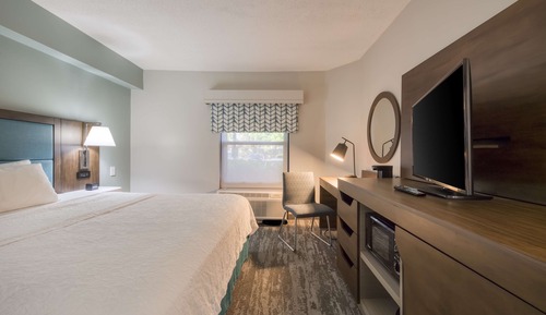 Room, 1 King Bed (Roll-In Shower)