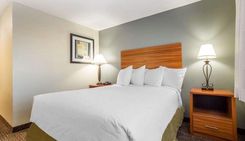 Standard Room, 1 King Bed, Non Smoking