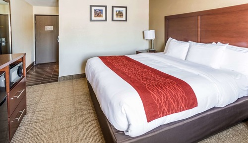 Room, 1 King Bed, Accessible, Non Smoking