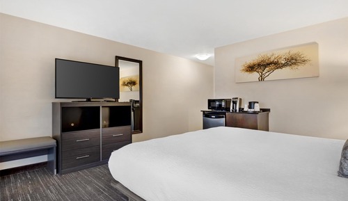 Standard Room, 1 King Bed, Non Smoking, Refrigerator & Microwave