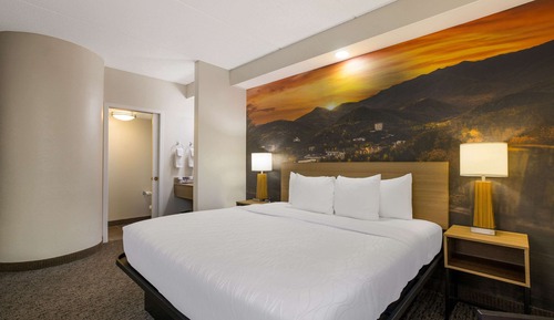 Standard Room, 1 King Bed, Non Smoking