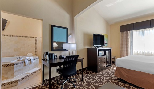 Standard Room, 1 King Bed, Non Smoking, Jetted Tub (with Single Sofabed)