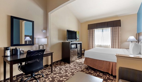 Standard Room, 1 King Bed, Non Smoking, Refrigerator & Microwave (with Single Sofabed)