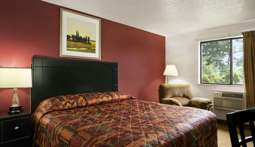 Room, 1 King Bed