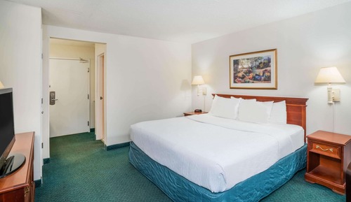 Room, 1 King Bed, Non Smoking