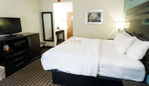 Standard Room, 1 King Bed, Non Smoking