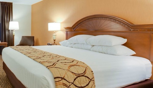 Room, 1 King Bed, Non Smoking