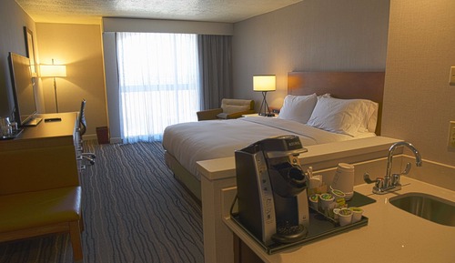 Room, 1 King Bed