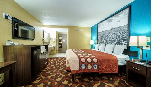 Room, 1 King Bed, Non Smoking (Pet-friendly, 2nd Floor)