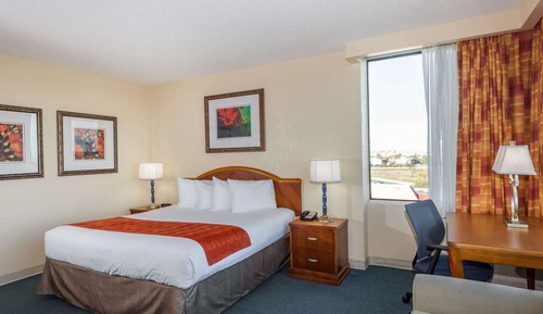 Deluxe Room, 1 King Bed with Sofa bed, Tower