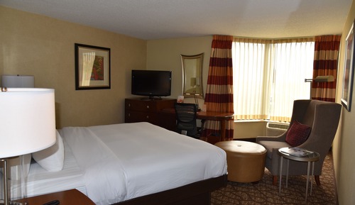 Room, 1 King Bed, Refrigerator