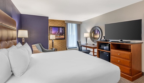 Deluxe Room, 1 King Bed, Accessible, Refrigerator & Microwave (Roll in Shower)