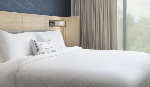 Suite, 1 King Bed with Sofa bed, Non Smoking (Mobility Accessible, Tub)
