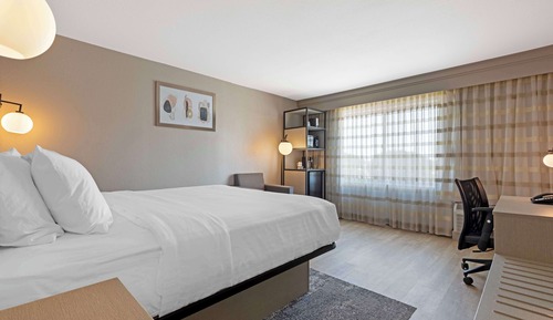 Standard Room, 1 King Bed, Non Smoking, Refrigerator & Microwave