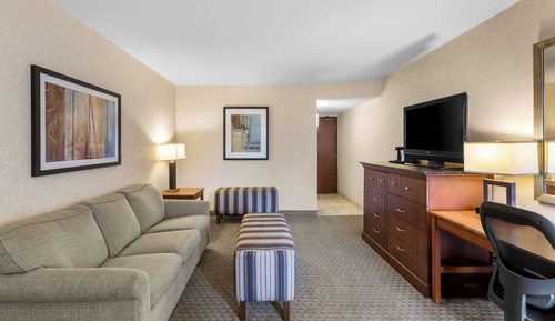 Room, 1 King Bed