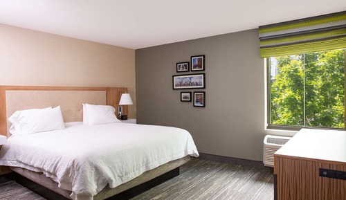 Room, 1 King Bed with Sofa bed