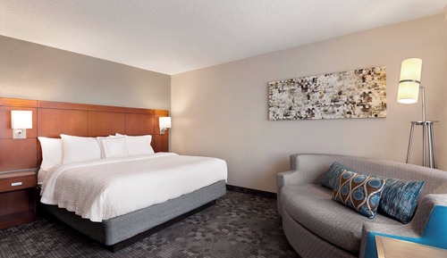 Room, 1 King Bed with Sofa bed (Mobility Accessible, Roll-in Shower)
