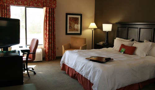 Room, 1 King Bed, Accessible