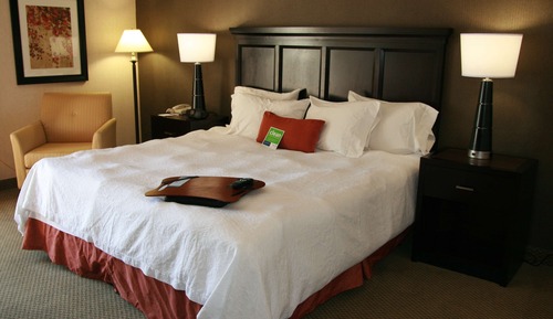 Room, 1 King Bed, Accessible, Non Smoking