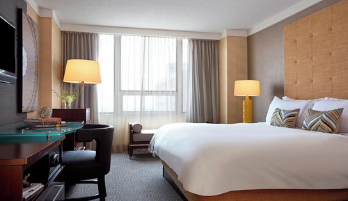 Room, 1 King Bed