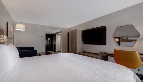 Suite, 1 King Bed (Living Area)