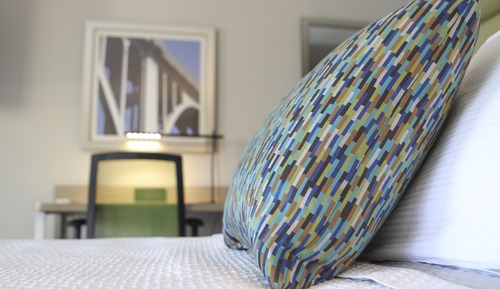 Room, 1 King Bed
