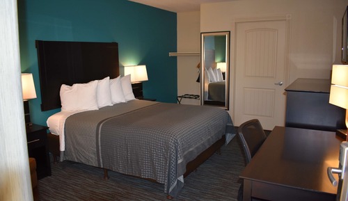 Standard Room, 1 Queen Bed, Non Smoking, Refrigerator & Microwave