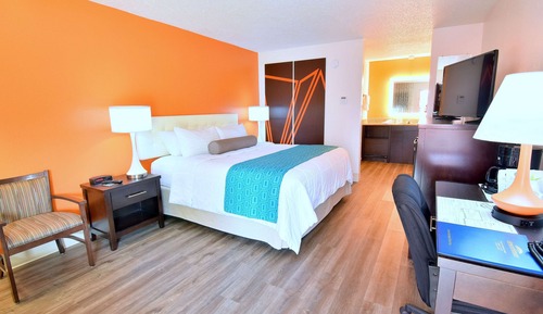 Room, 1 King Bed, Non Smoking
