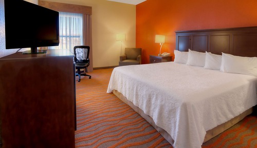 One King Bed, Non-Smoking, Accessible