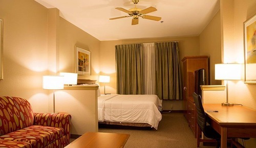 Executive Suite