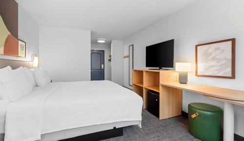 Room, 1 King Bed