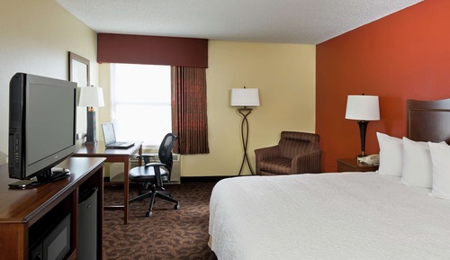 Room, 1 King Bed, Accessible, Non Smoking