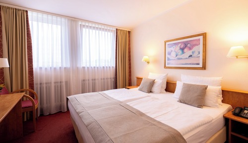 Double Room Single Use