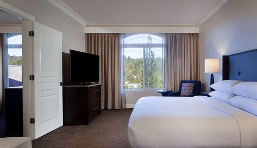 Suite, 1 King Bed with Sofa bed