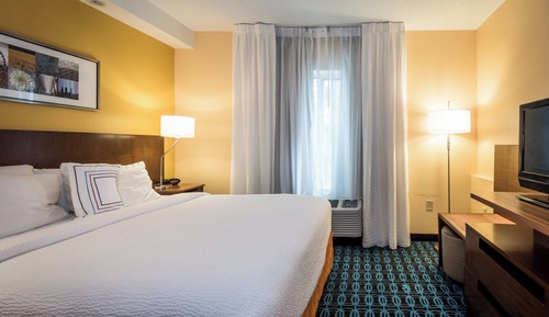 Suite, 1 King Bed with Sofa bed