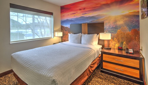Standard Suite, 1 Queen Bed with Sofa bed