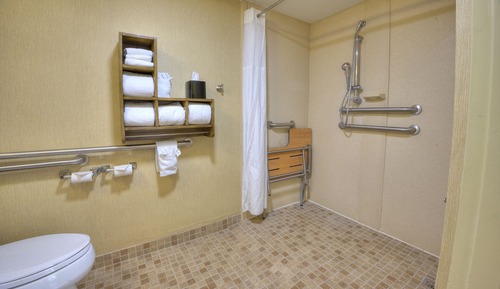 1 King Bed Mobility Accessible Roll-In Shower Studio Suite