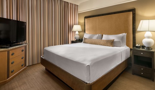Studio Suite, 1 King Bed with Sofa bed