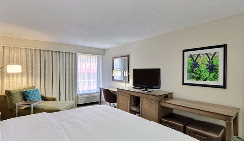 Room, 1 King Bed, Accessible
