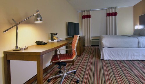 Room, 1 King Bed with Sofa bed (Mobility/Hearing Access, Roll-In Shwr)